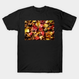 Colorful Fallen Autumn Leaves 1 - Seasons - Nature Abstract T-Shirt